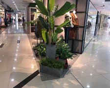 庭院圍墻或許也是庭院設(shè)計(jì)的點(diǎn)睛之筆